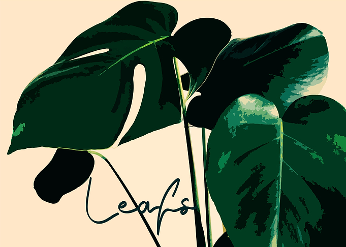 Leaf