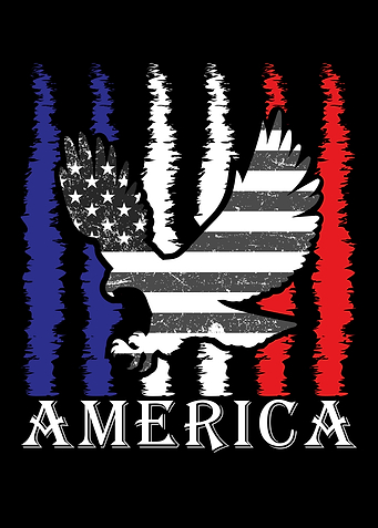 Eagle america