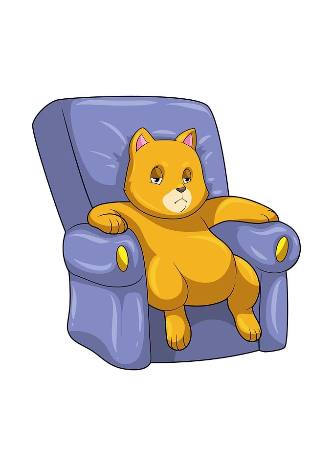 Cat Bored Sofa