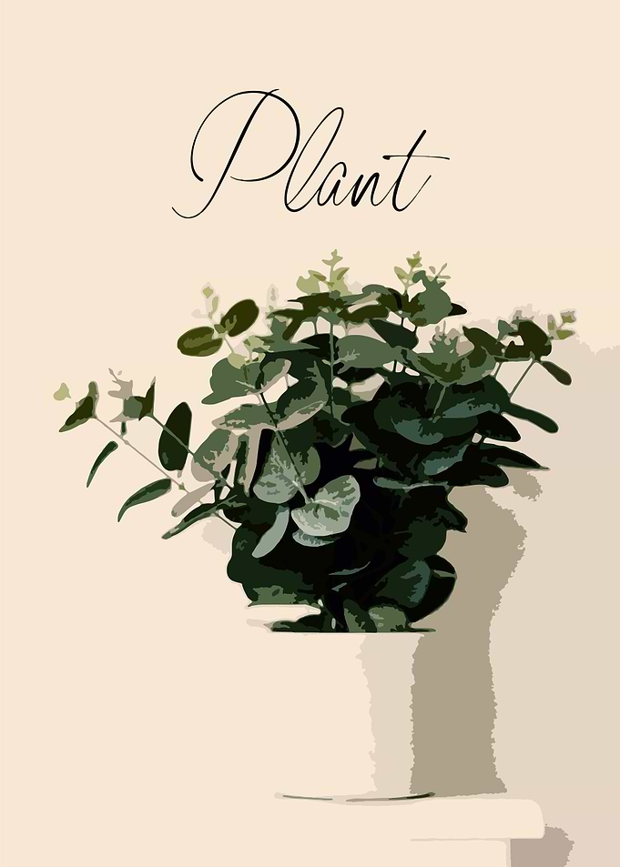 Plant