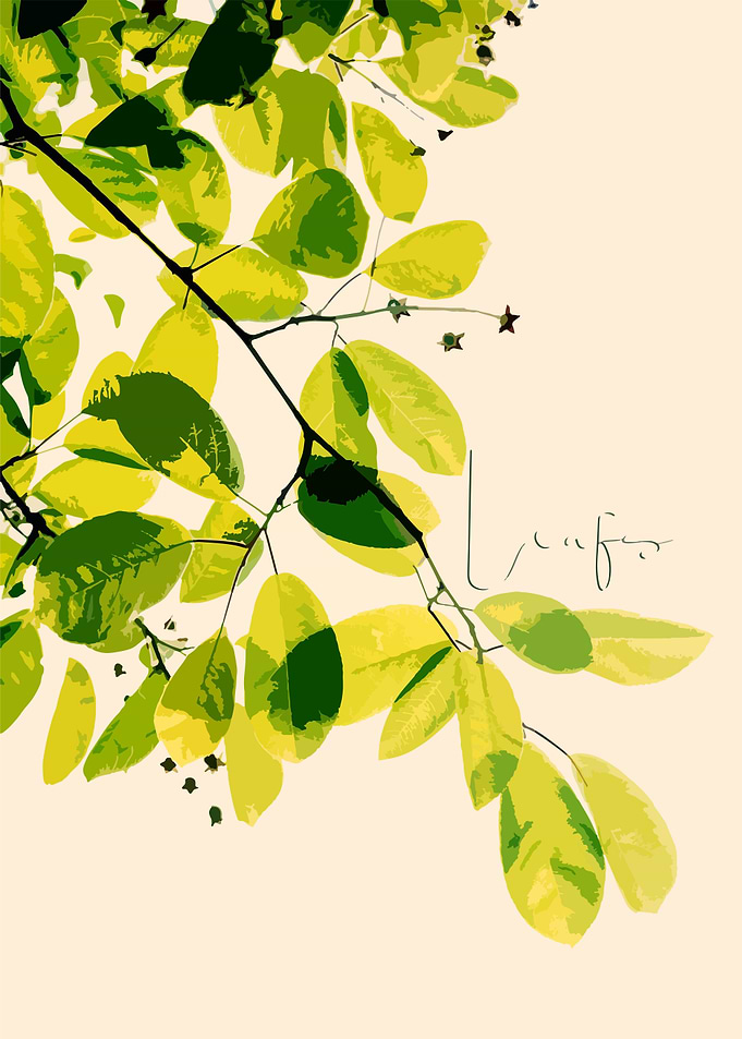 Leafs