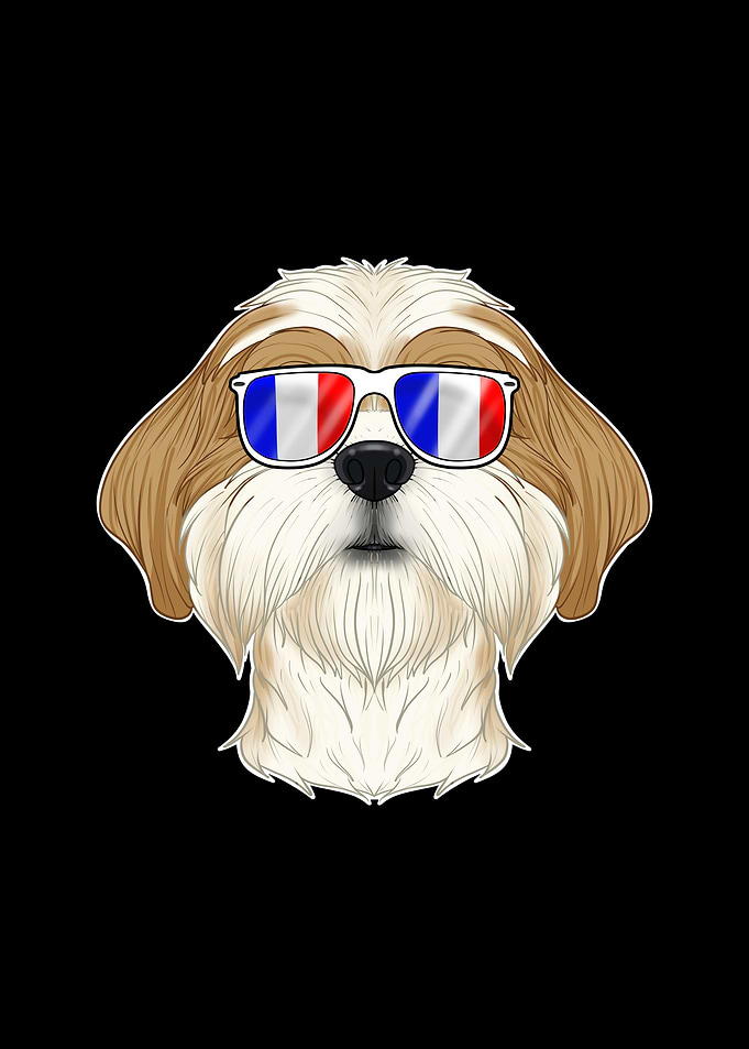 Shih Tzu France Sunglasses