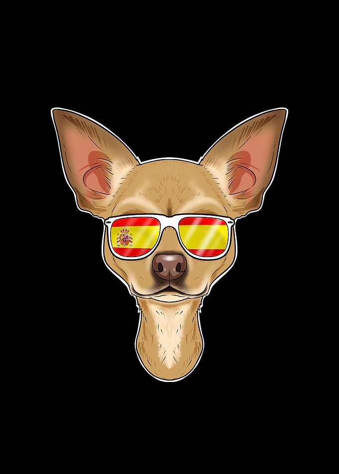 Chihuahua I Spain