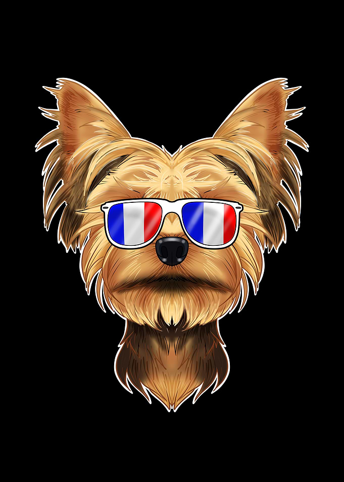 Yorkshire Terrier France