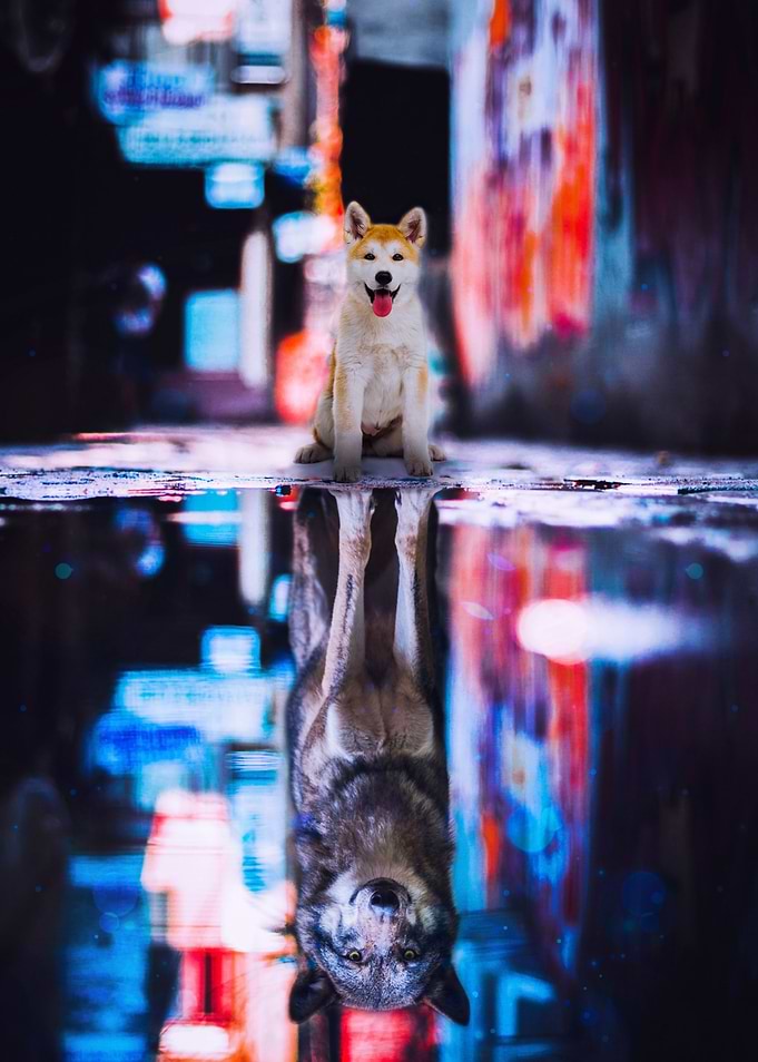 Teen Wolf Reflection water