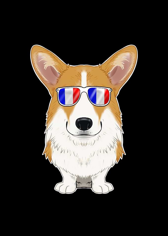 Welsh Corgi France