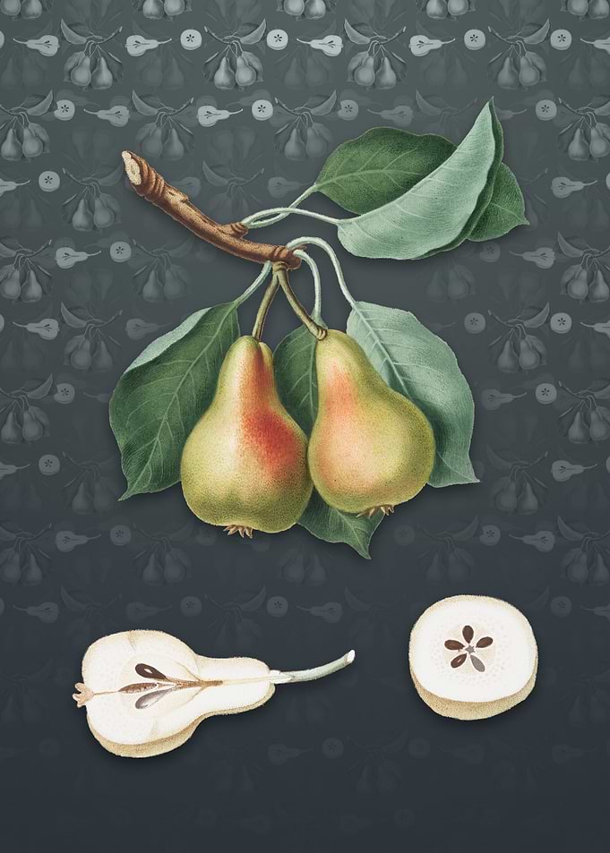 Vintage Pear on Slate Gray