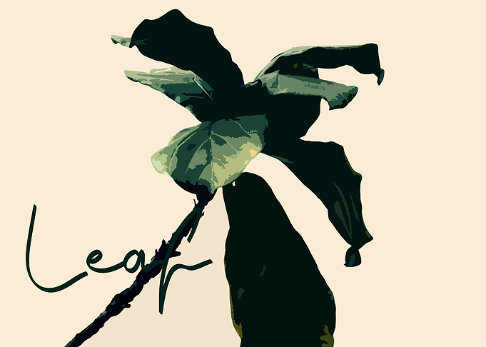 Leaf