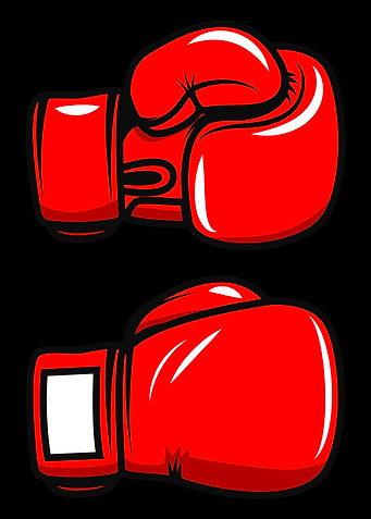 Boxing gloves