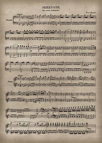 Eine kleine Nachtmusik