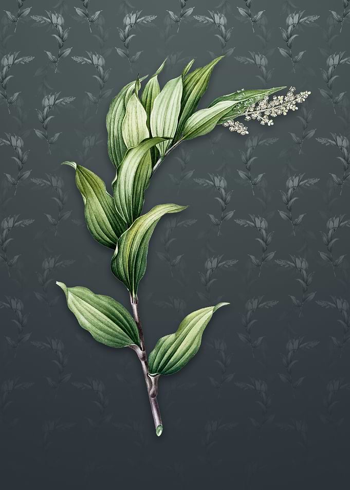 Vintage Treacleberry