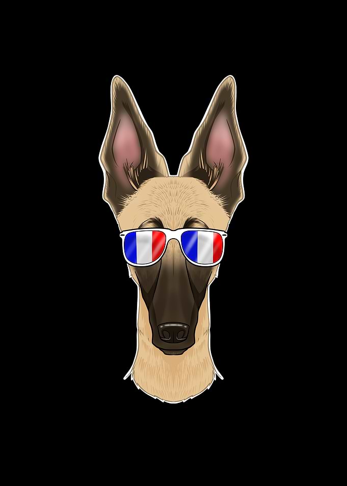 Malinois France Sunglasses