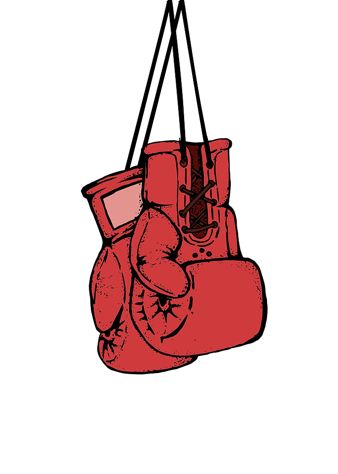 Hanging boxing gloves