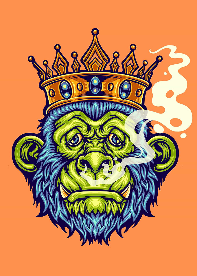 Funny Monkey