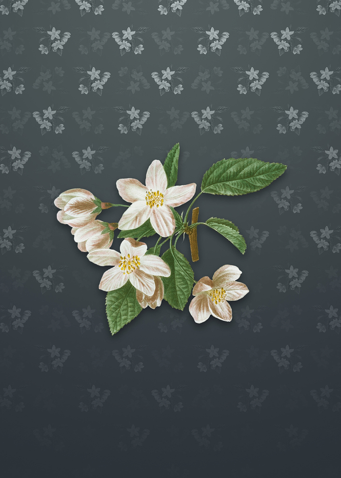 Crabapple on Slate Gray