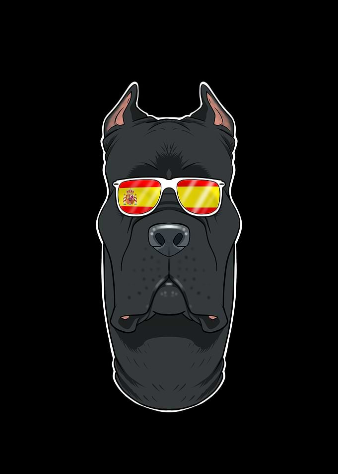 Cane Corso I Spain