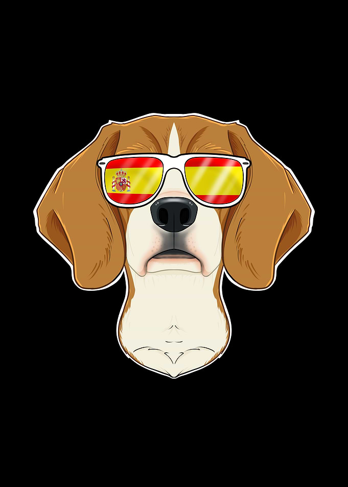Beagle I Spain Sunglasses