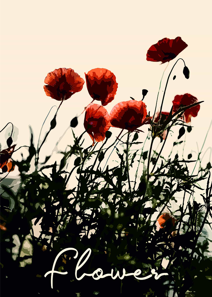 Flower