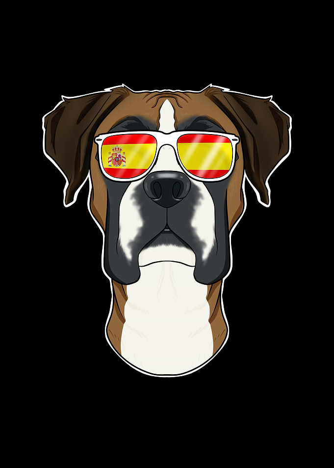 Boxer I Spain Sunglasses