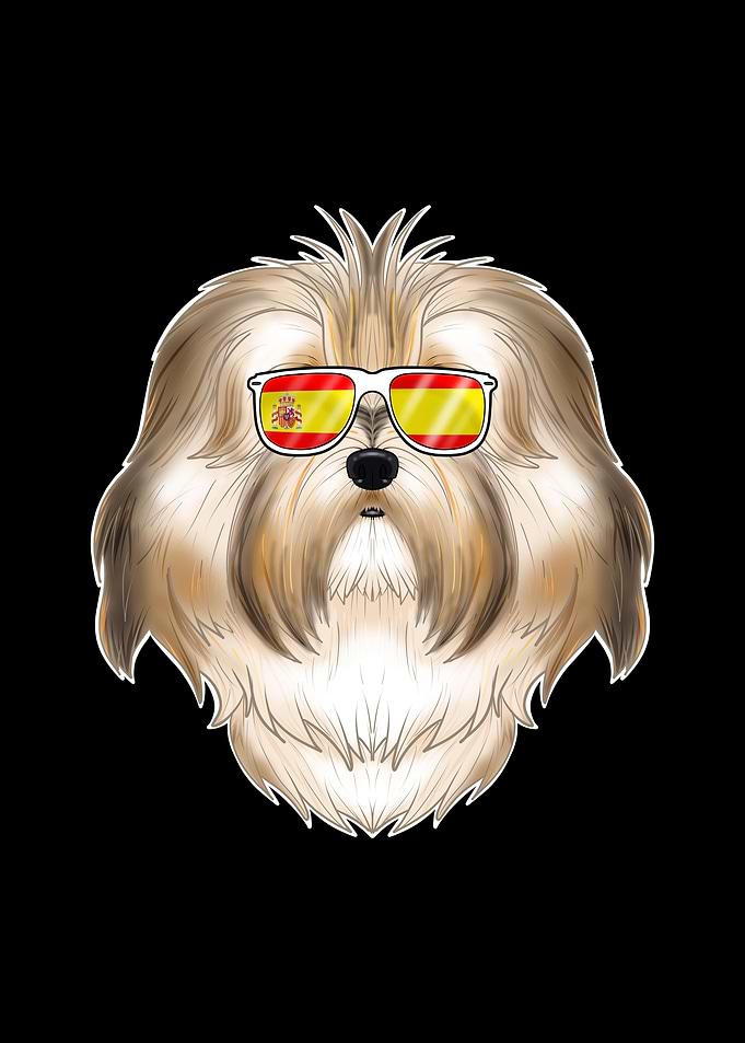 Havanese I Spain