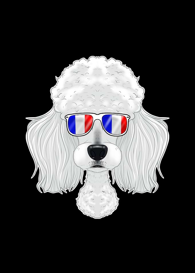Poodle France Sunglasses