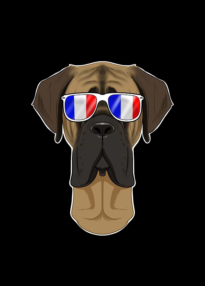 Mastiff France Sunglasses