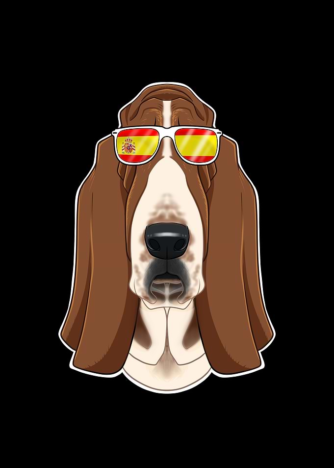 Basset Hound I Spain