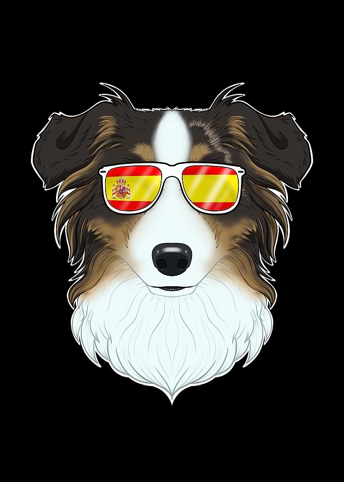 Australian Shepherd