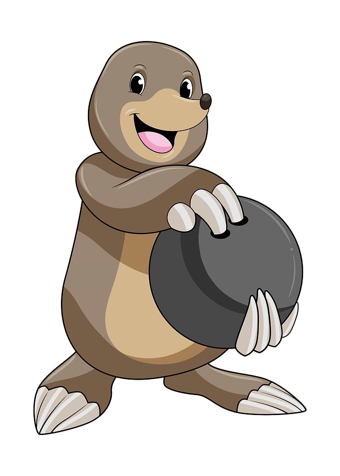 Mole Bowling Sports