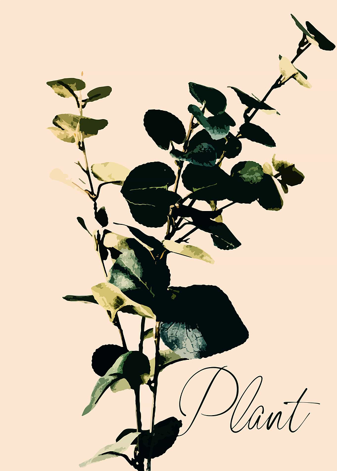 Plant