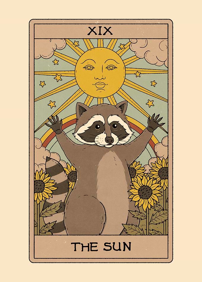 The Sun Raccoon