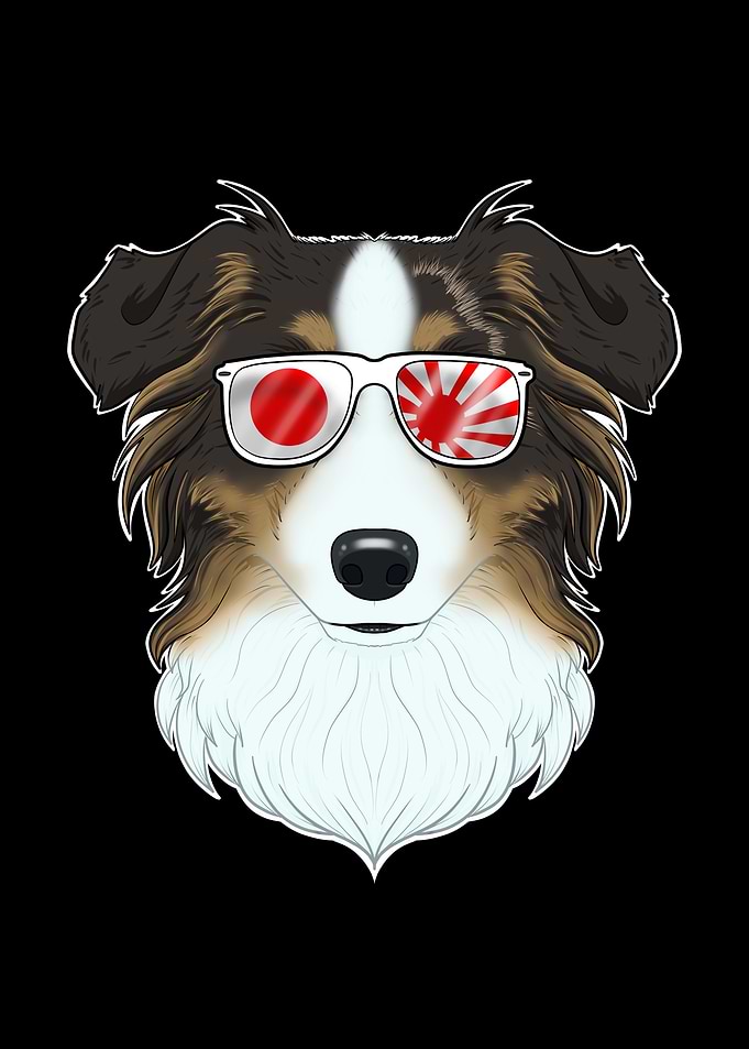Australian Shepherd Japan