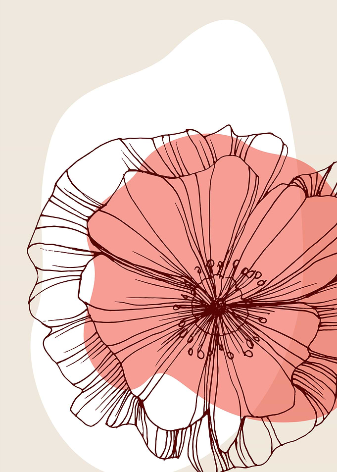 Poppy Botanical Floral
