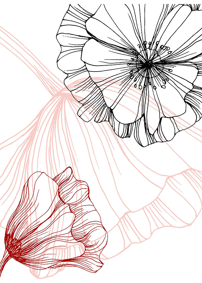 Poppy Botanical Floral