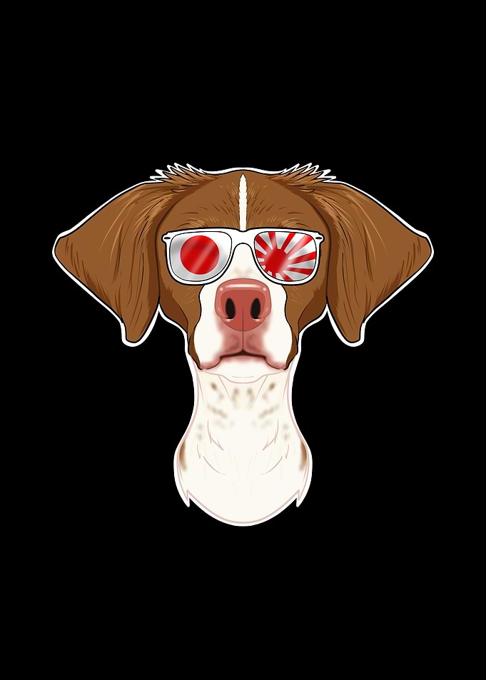Brittany Japan Sunglasses