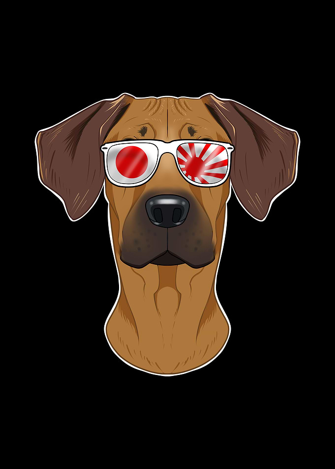 Rhodesian Ridgeback Japan