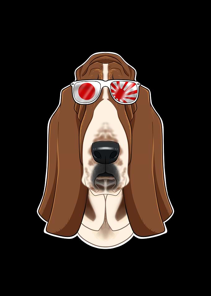 Basset Hound Japan