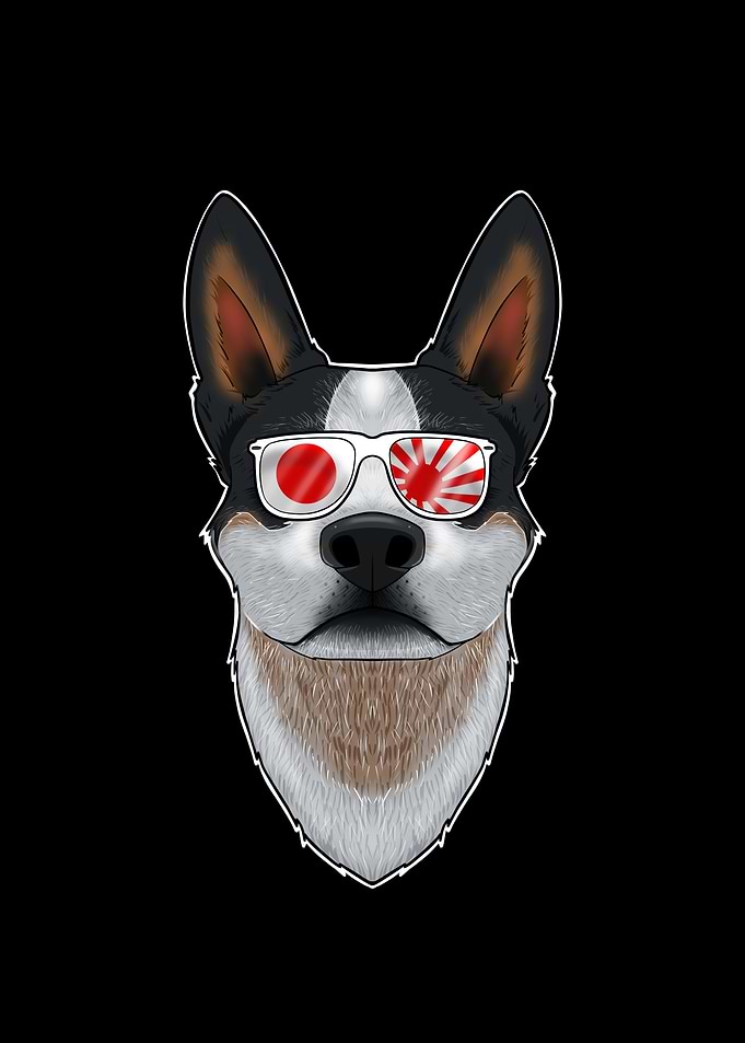 Australian Cattle Dog