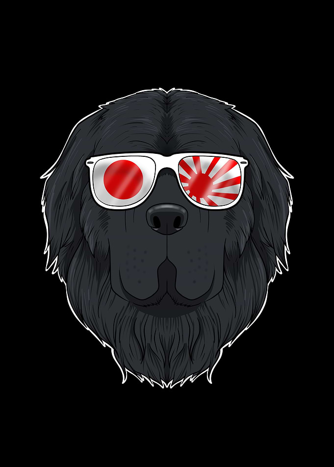 Newfoundland Japan