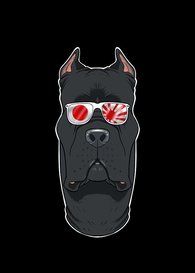 Cane Corso Japan