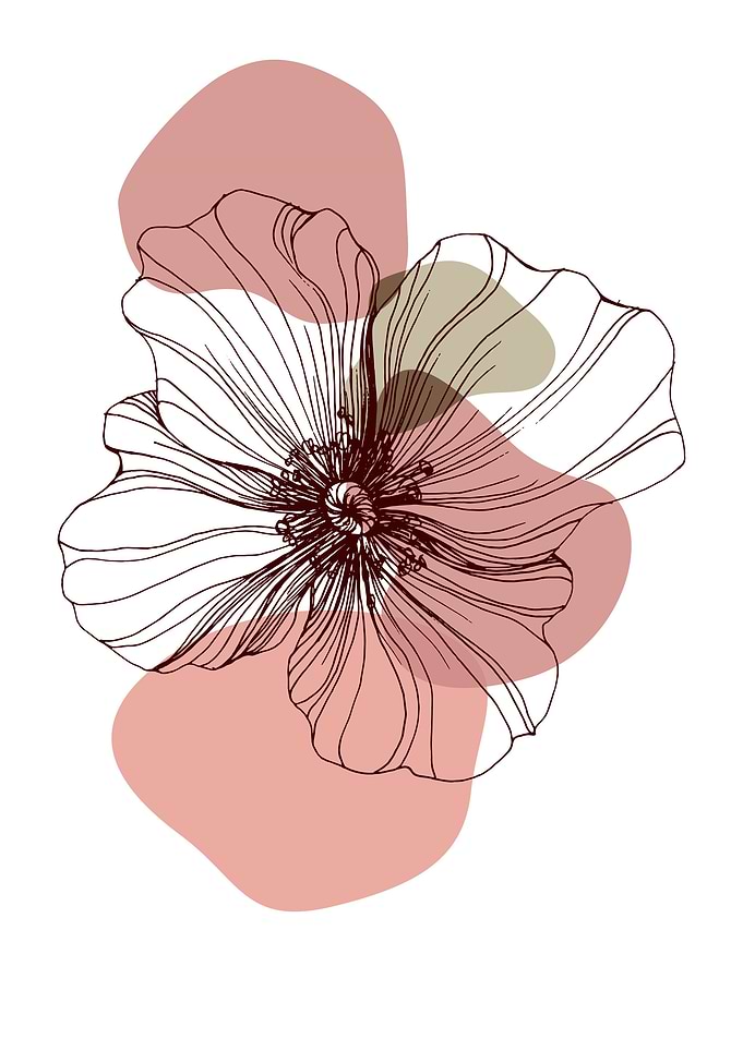 Poppy Botanical Floral