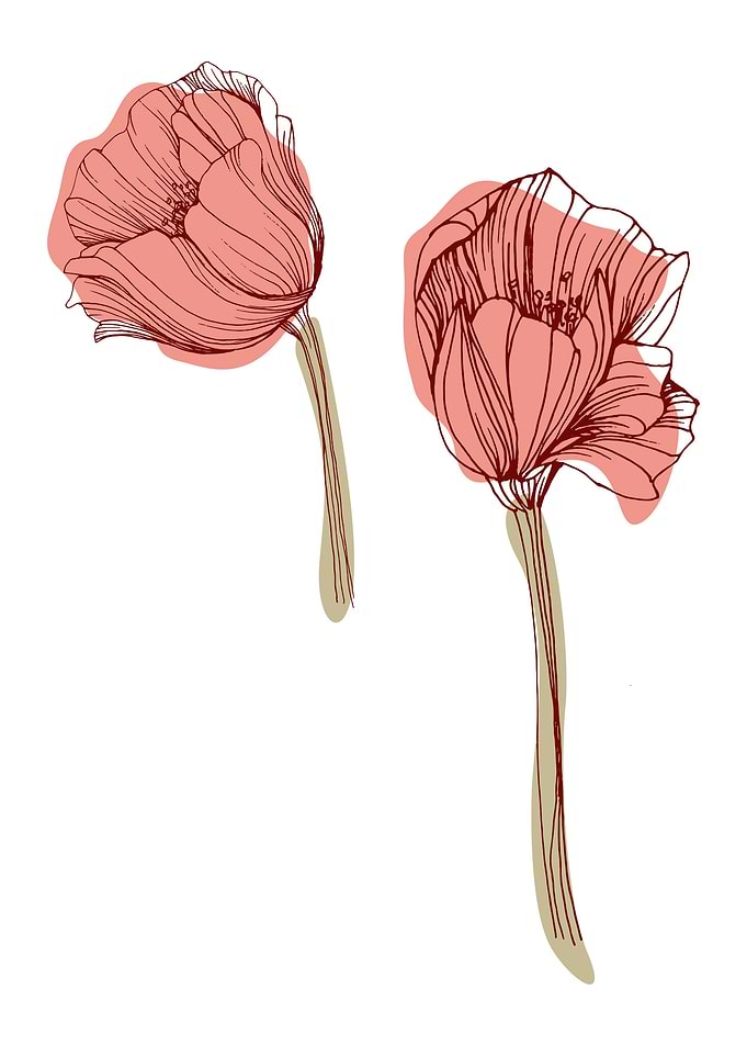Poppy Botanical Floral