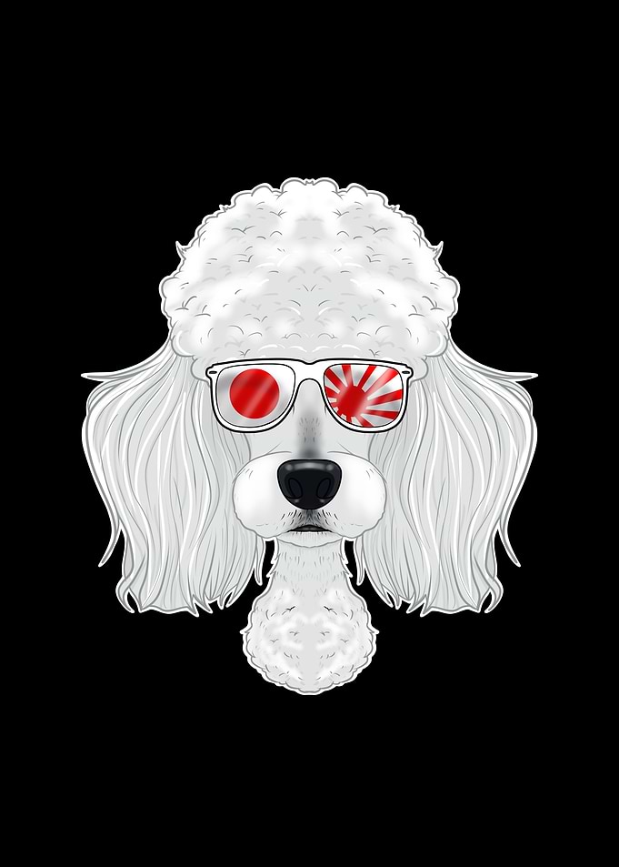 Poodle Japan Sunglasses