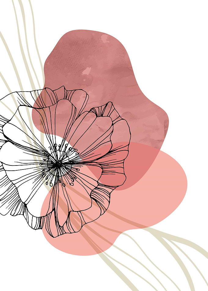 Poppy Botanical Floral