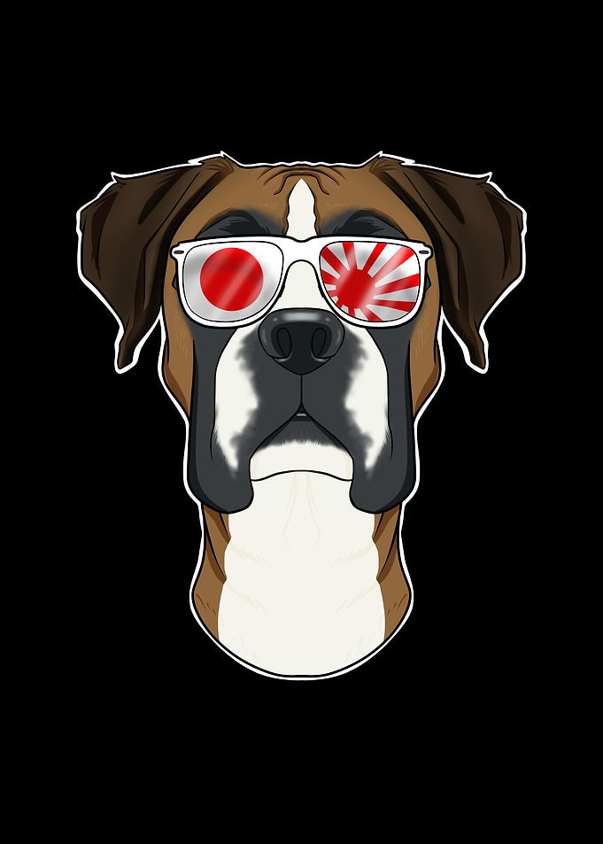 Boxer Japan Sunglasses