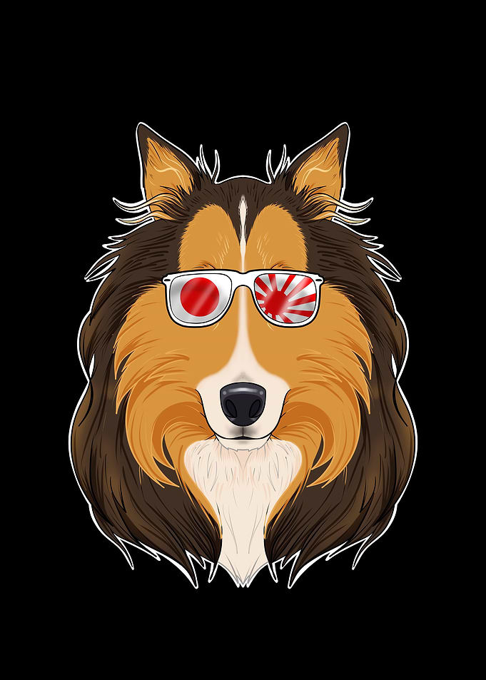 Collie Japan Sunglasses