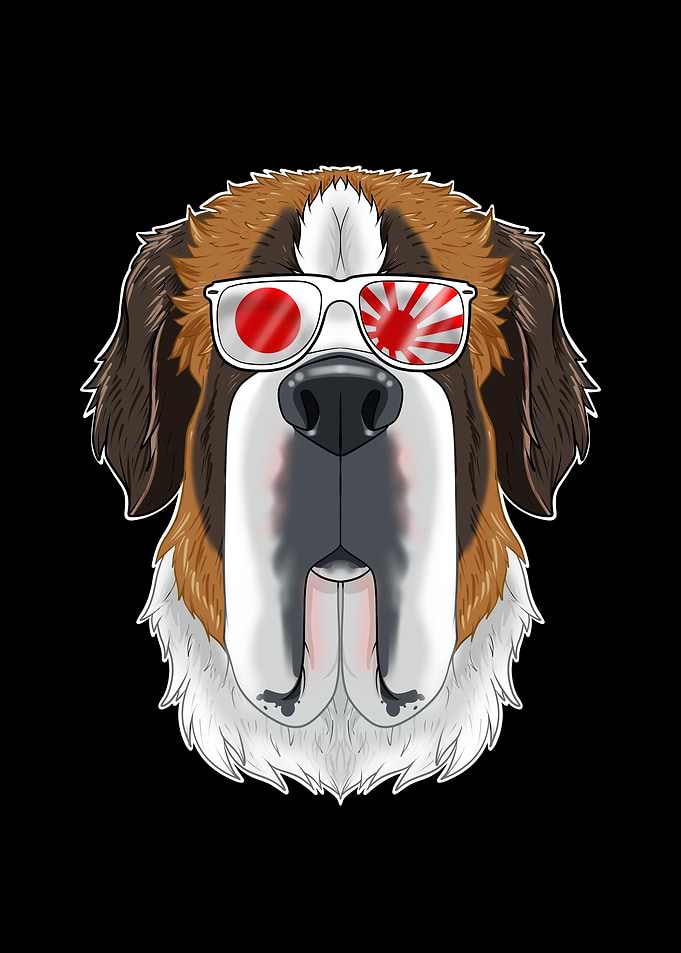 Saint Bernard Japan