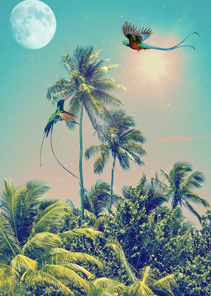 Quetzal and Hummingbird
