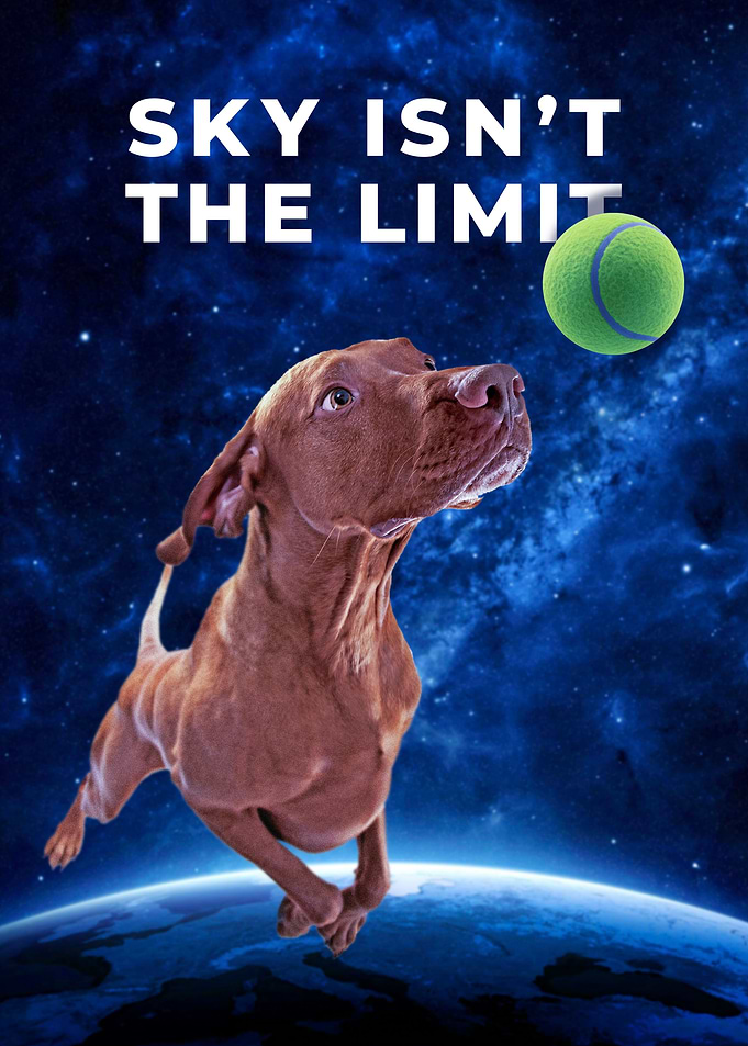 Funny Dog in Space