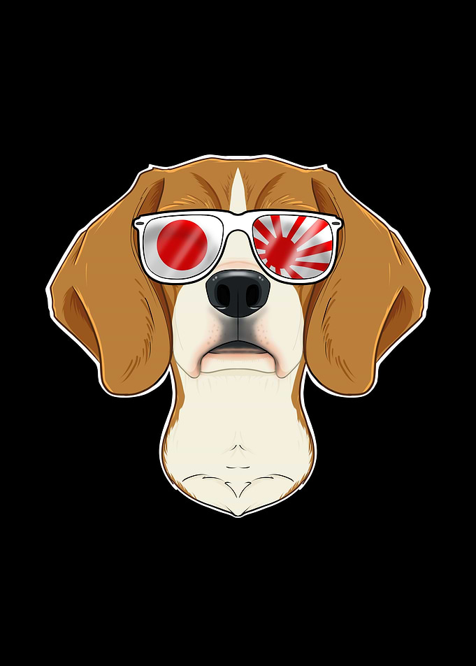 Beagle Japan Sunglasses